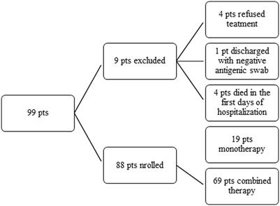 B-cell-depleted patients with persistent SARS-CoV-2 infection: combination therapy or monotherapy? A real-world experience